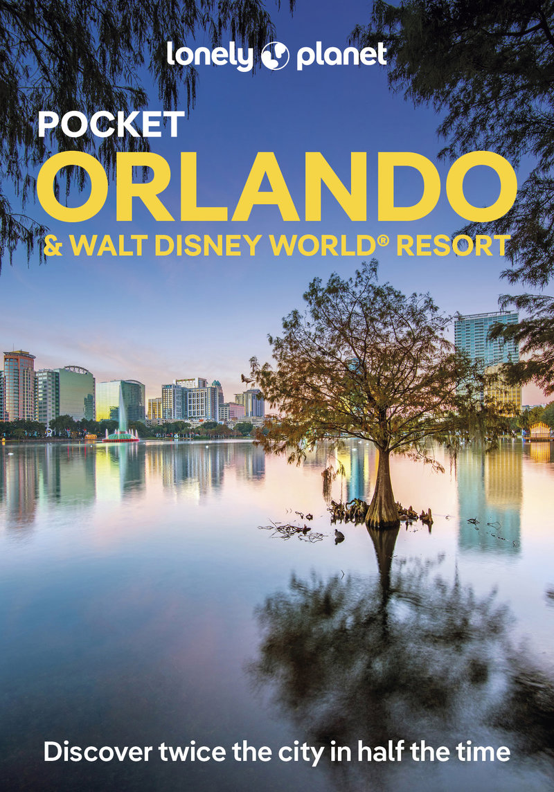 Pocket Orlando & Walt Disney World (R) Resort 4