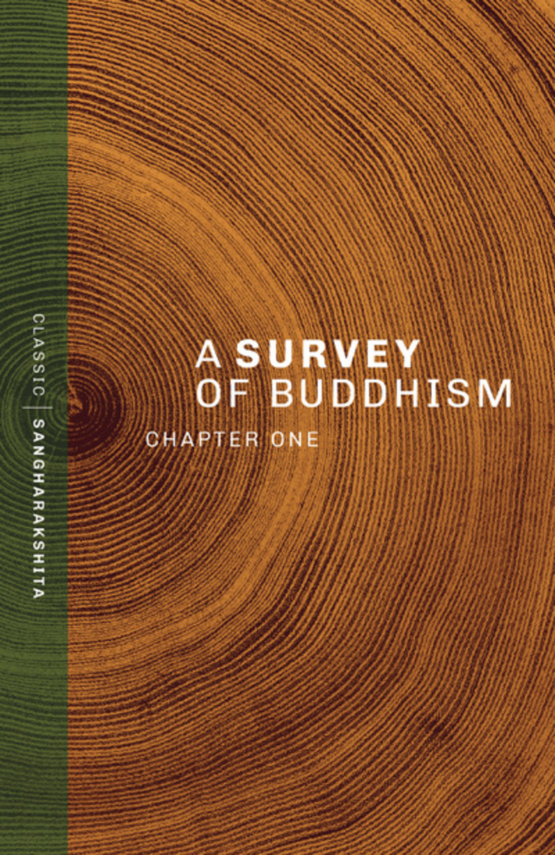 A Survey of Buddhism