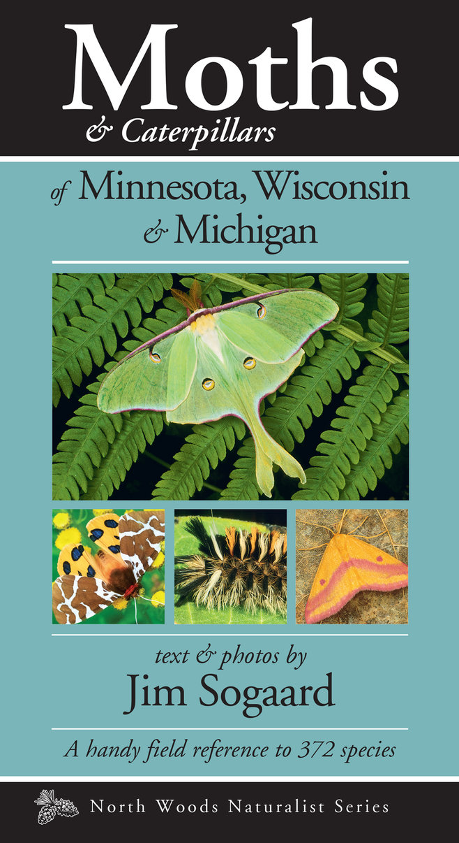 Moths & Caterpillars of Minnesota, Wisconsin & Michigan