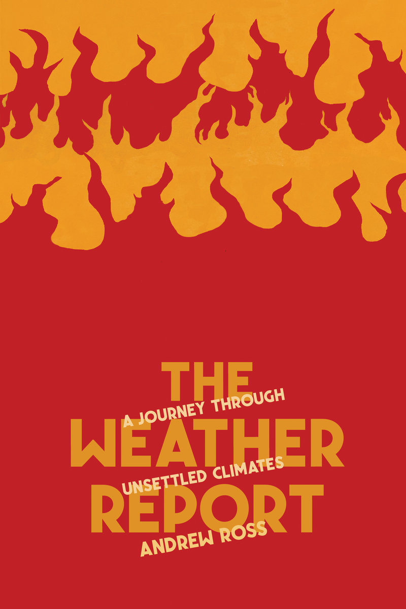 The Weather Report