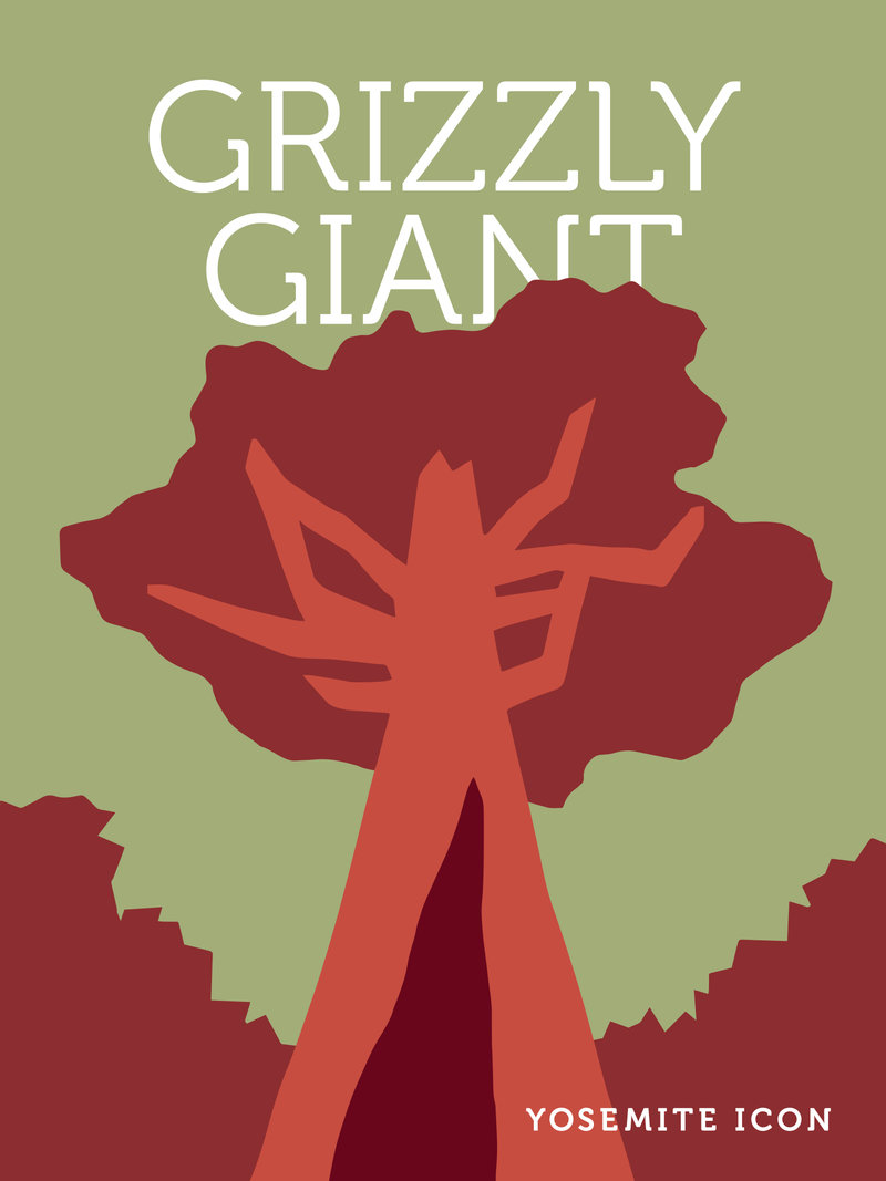 Grizzly Giant