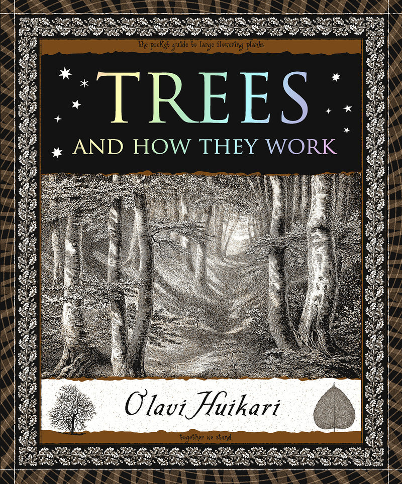 Trees and How They Work