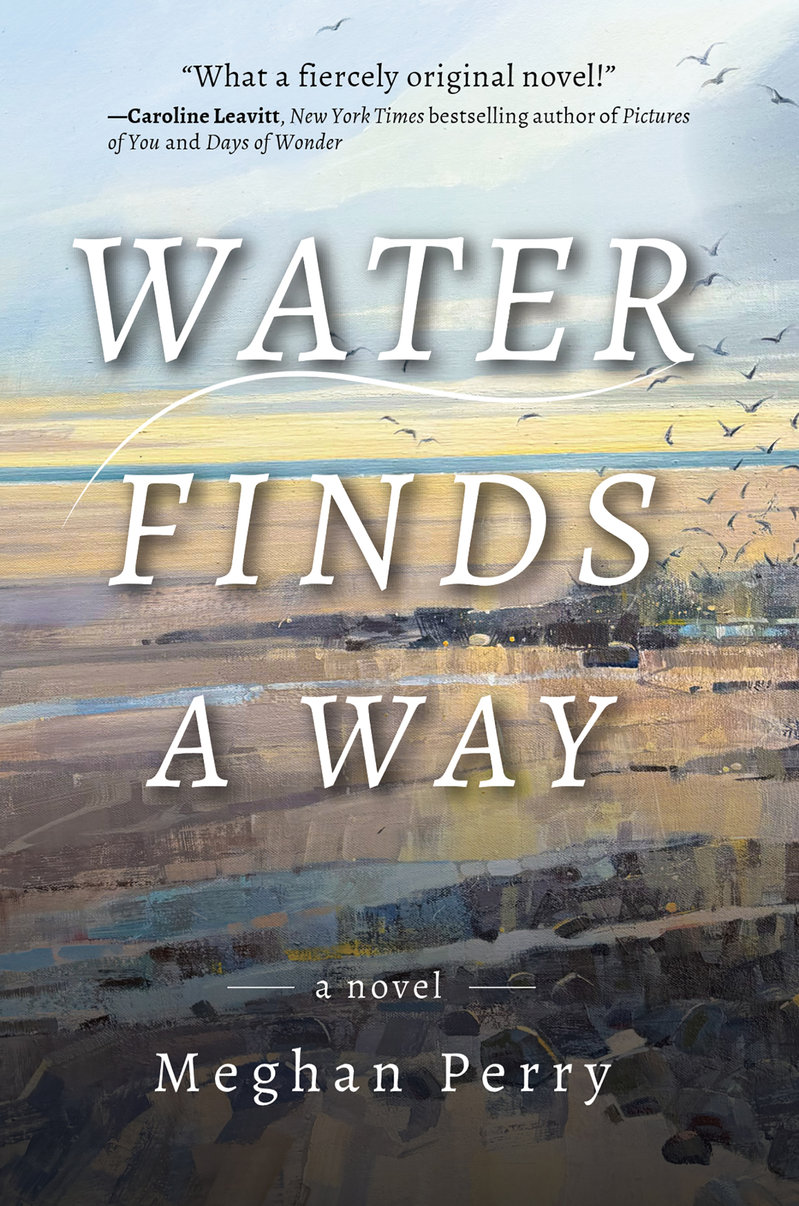 Water Finds a Way a novel