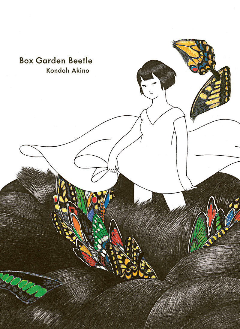 Box Garden Beetle