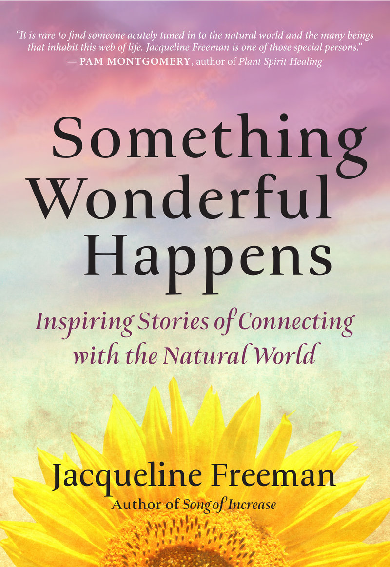 Something Wonderful Happens