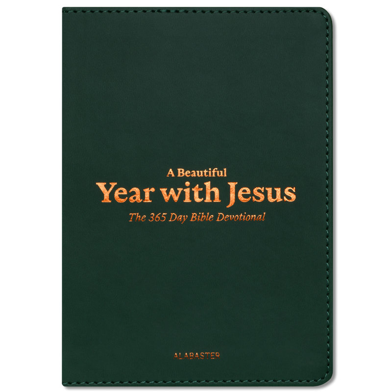 A Beautiful Year with Jesus (LB)