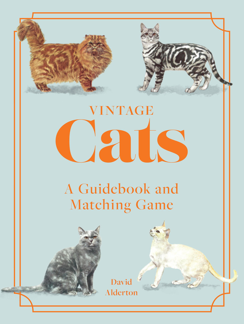 Vintage Cats