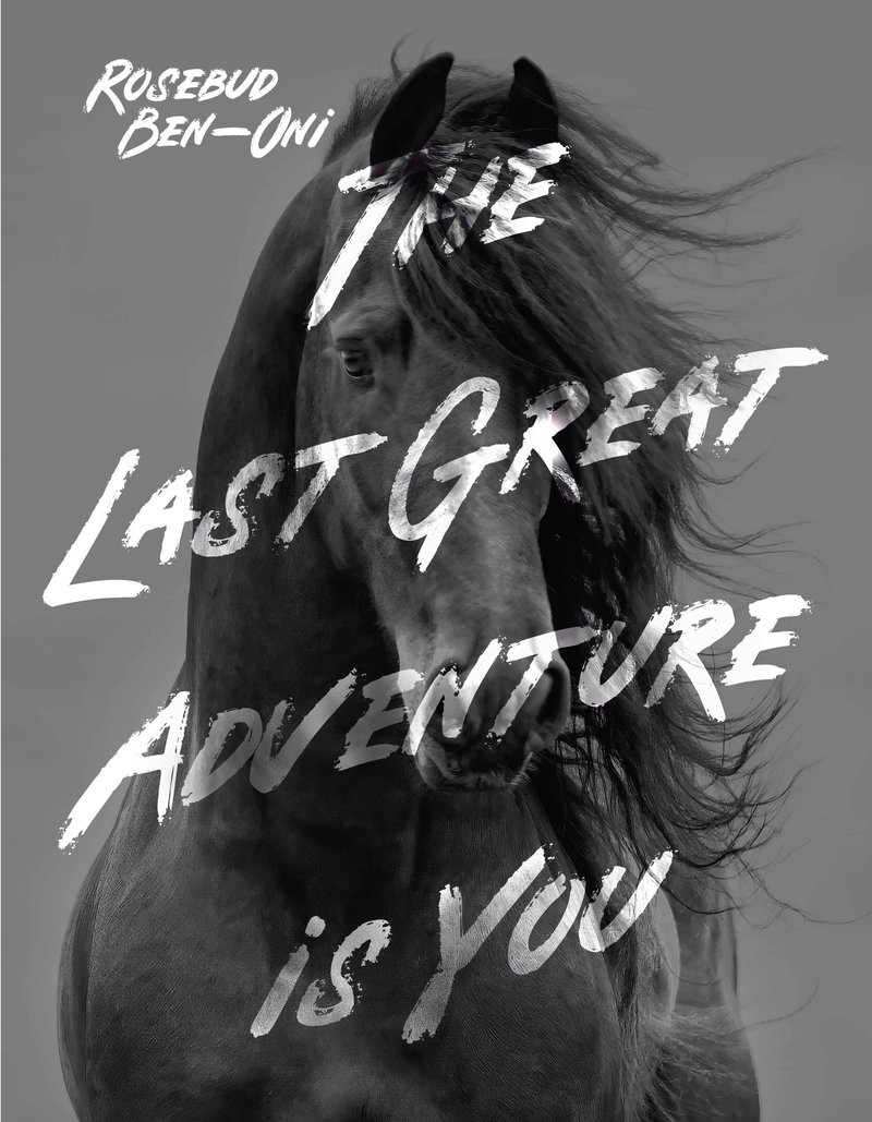The Last Great Adventure Is You