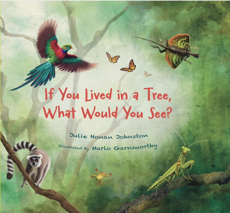 If You Lived in a Tree, What Would You See?