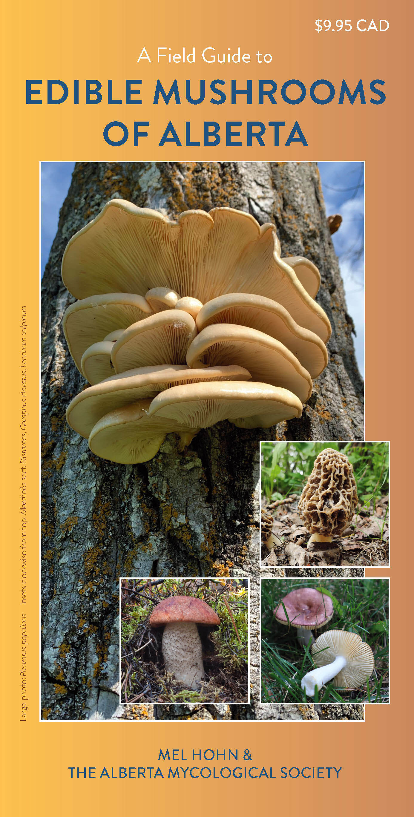 A Field Guide to Edible Mushrooms of Alberta