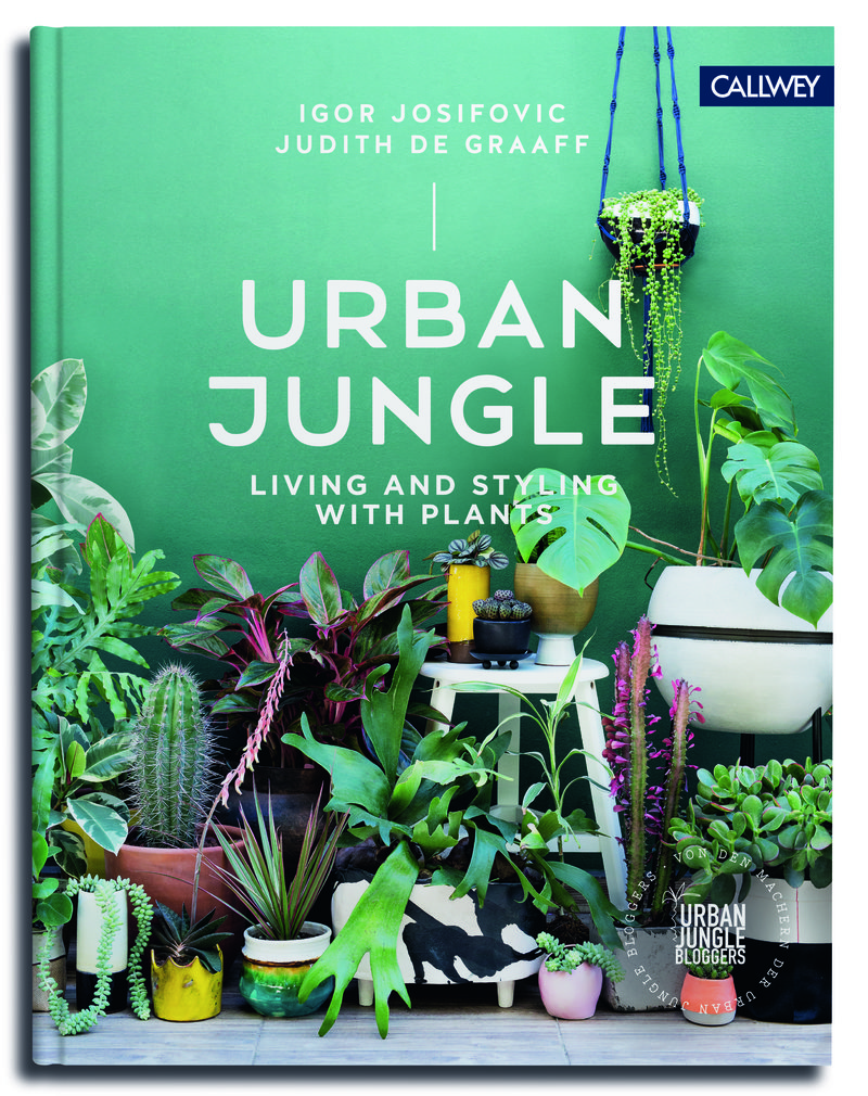Urban Jungle
