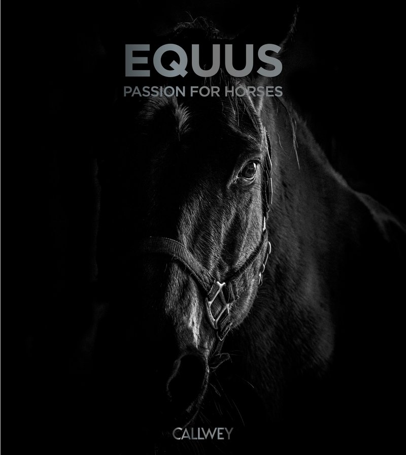Equus