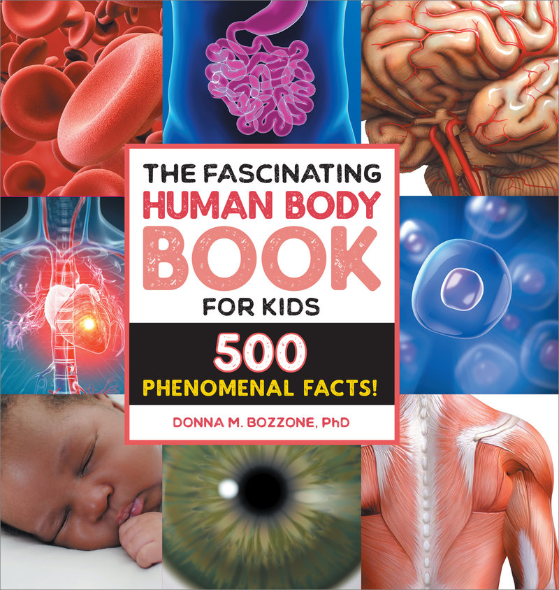 The Fascinating Human Body Book for Kids