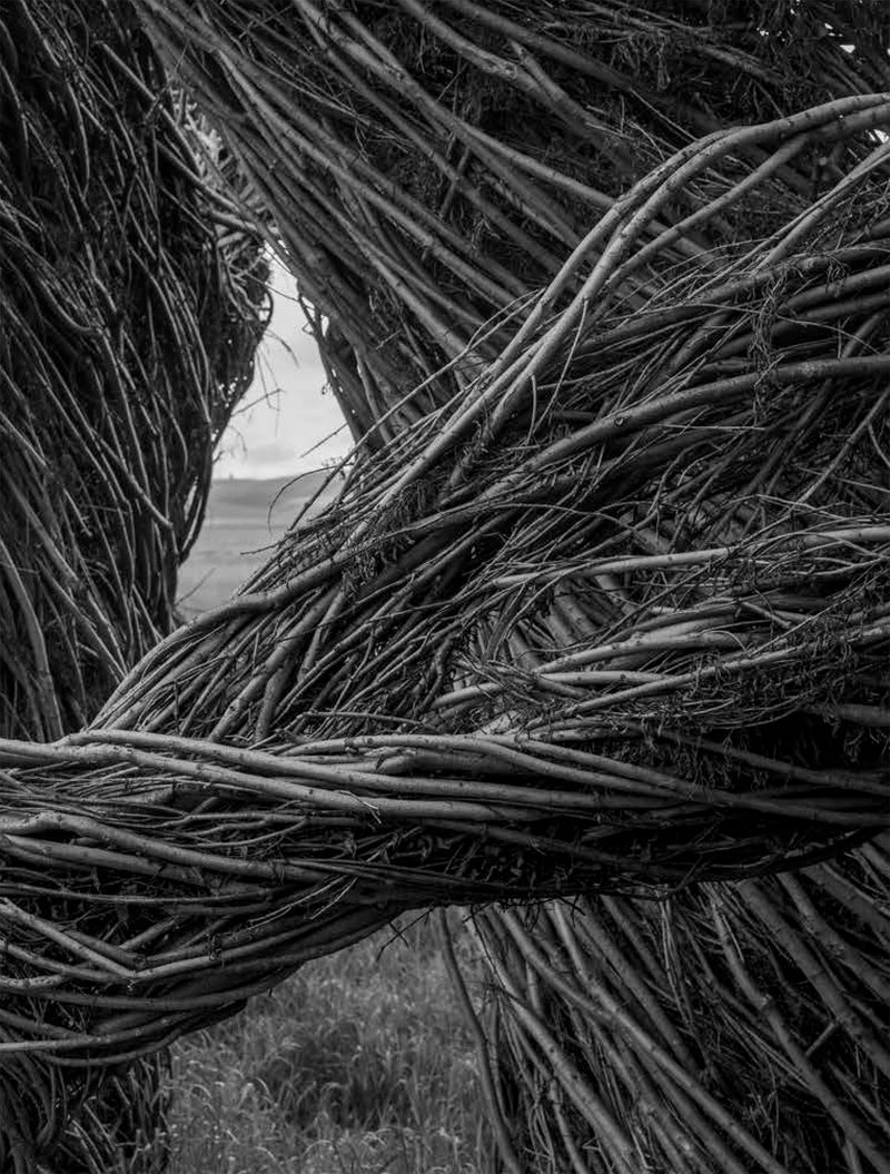 Patrick Dougherty   James Florio