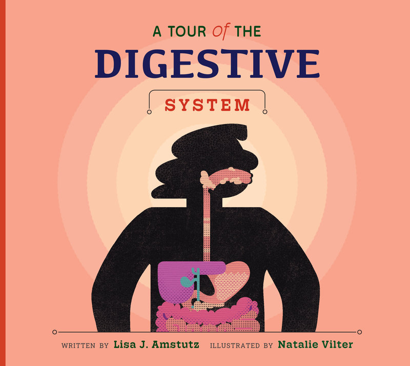 A Tour of the Digestive System