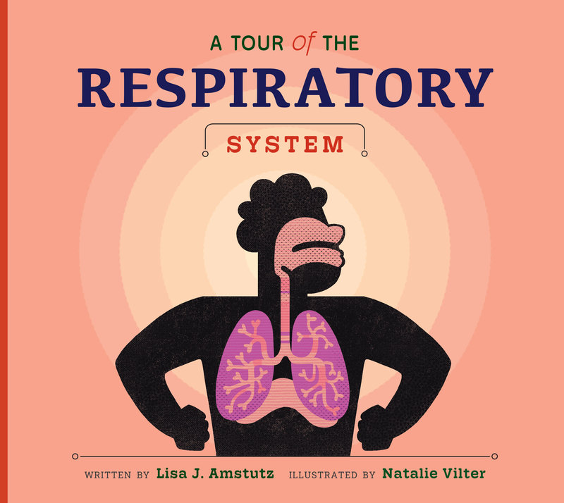A Tour of the Respiratory System