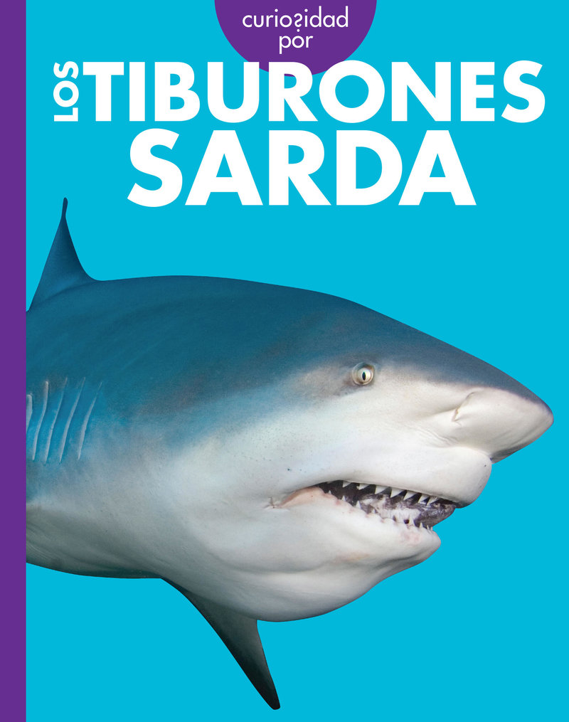 Curiosidad por los tiburones sarda