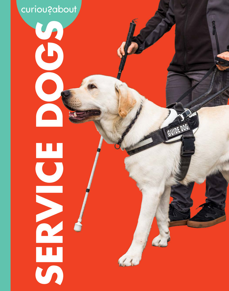 Curious about Service Dogs