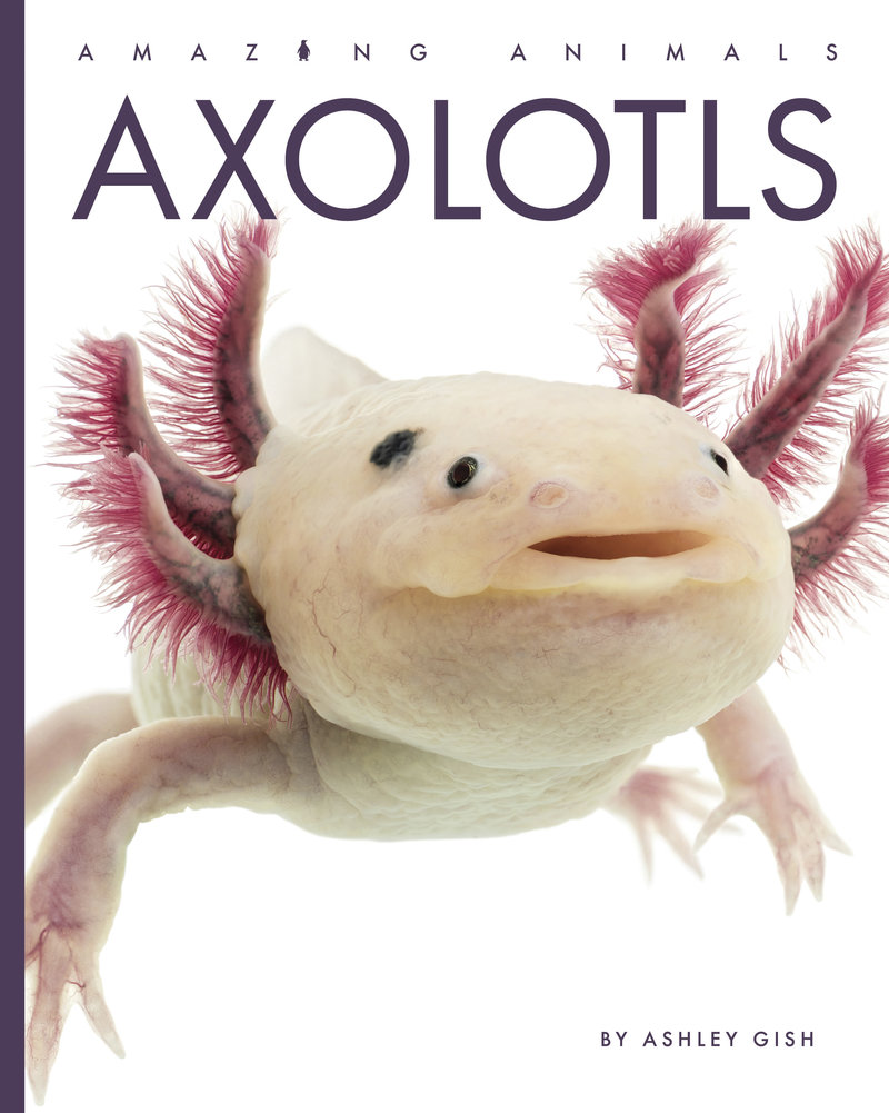 Axolotls