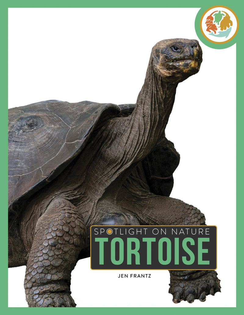 Tortoise