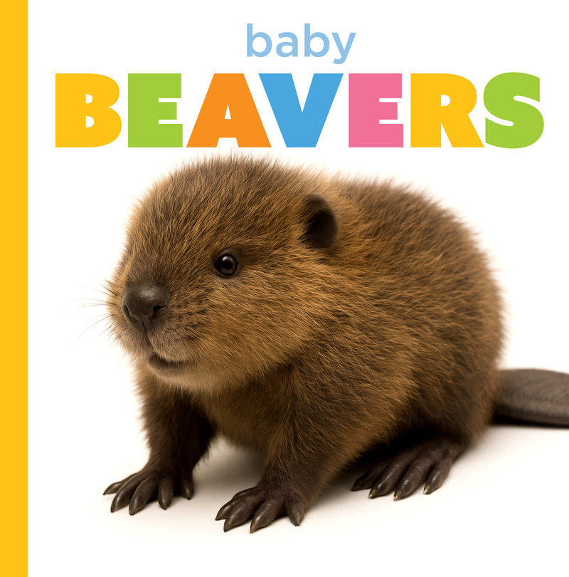Baby Beavers