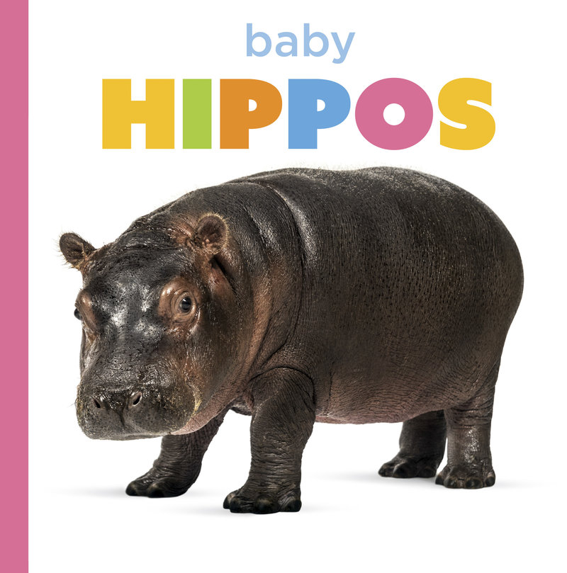 Baby Hippos