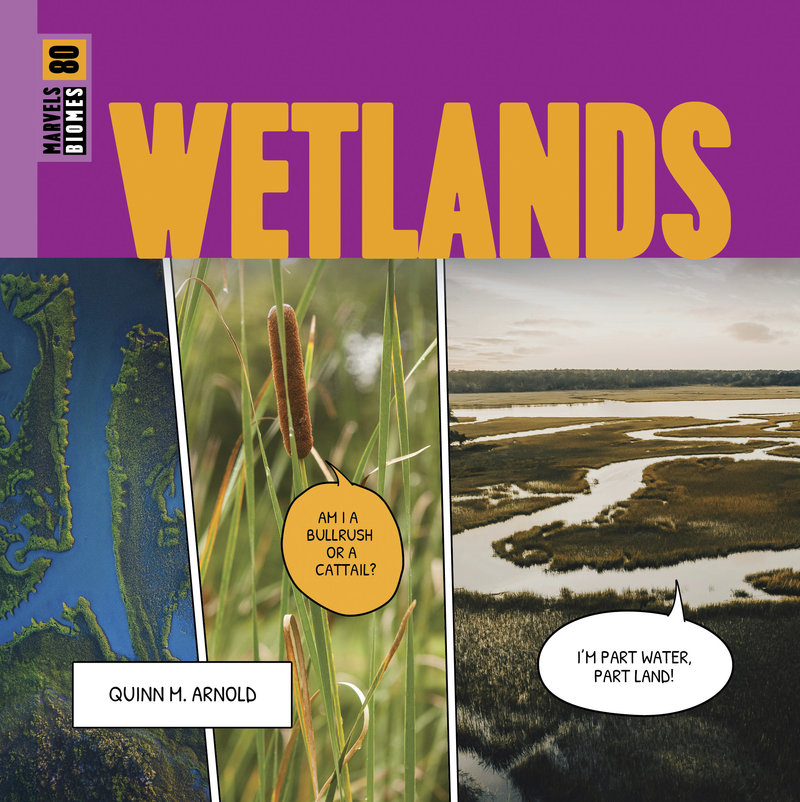 Wetlands