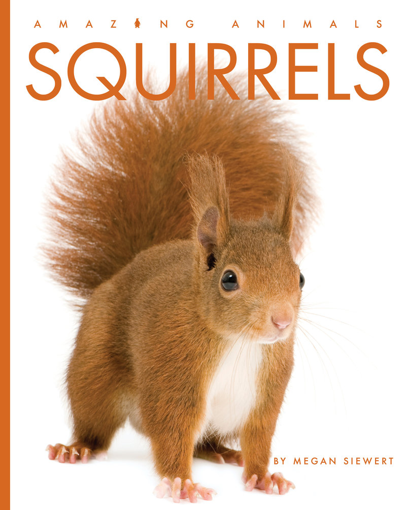 Squirrels