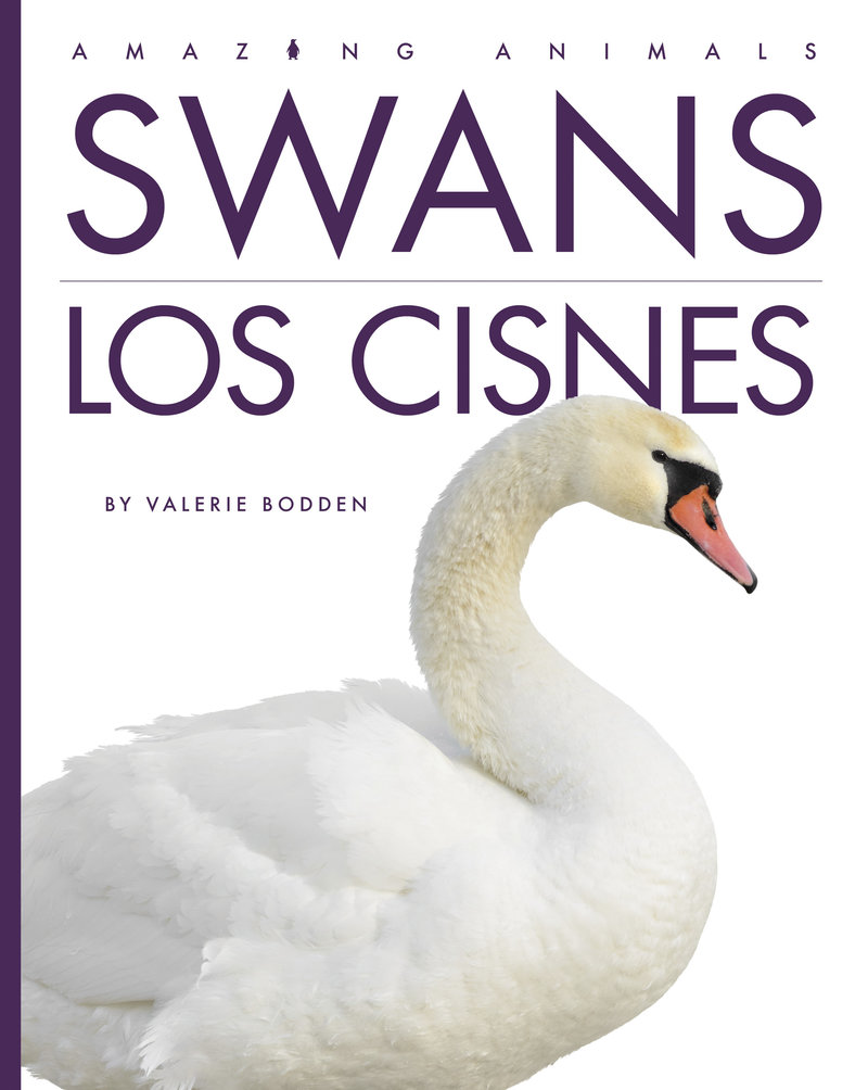 Swans / Los cisnes