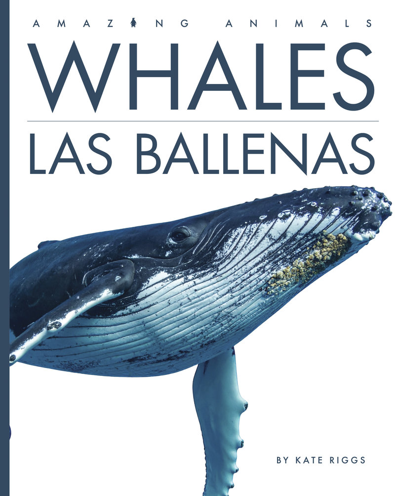 Whales / Las ballenas