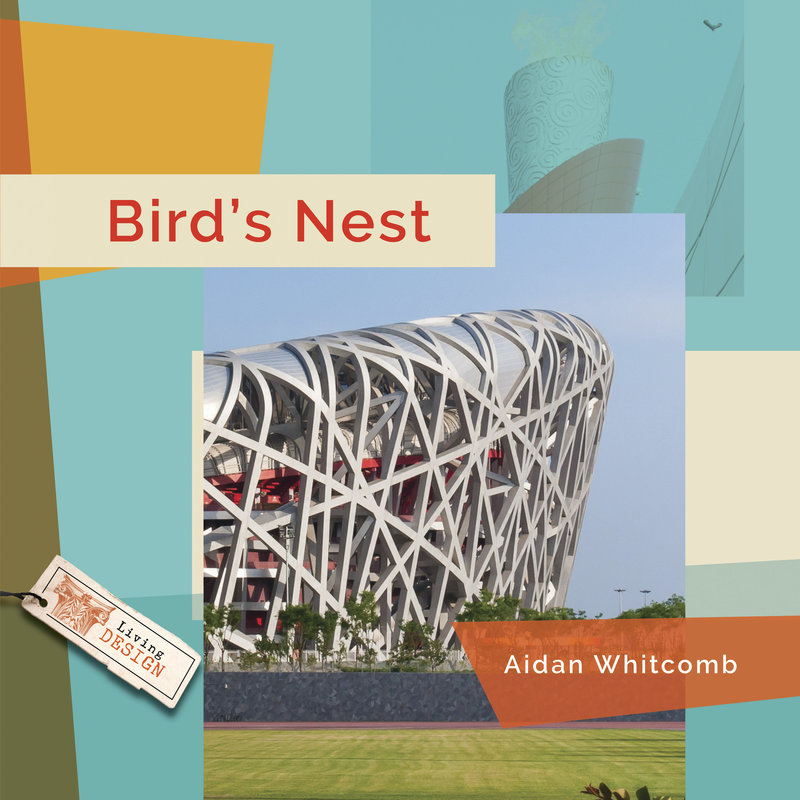 Bird's Nest