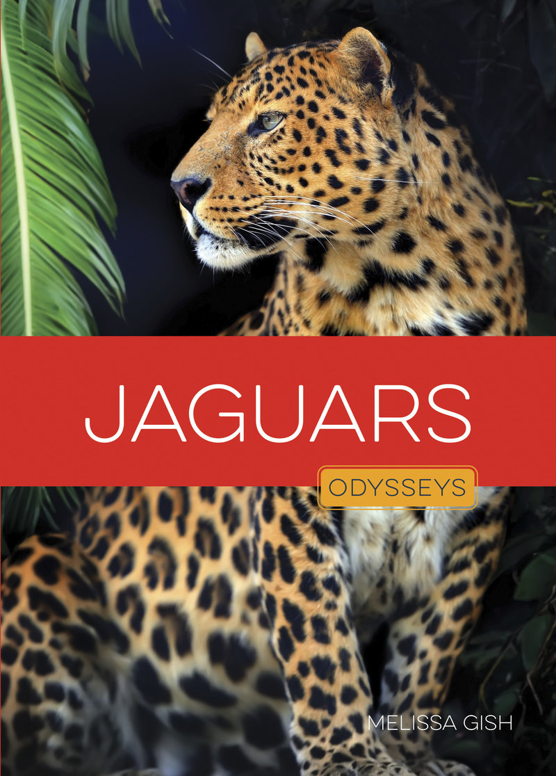 Jaguars