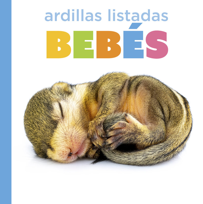 Ardillas listadas bebés