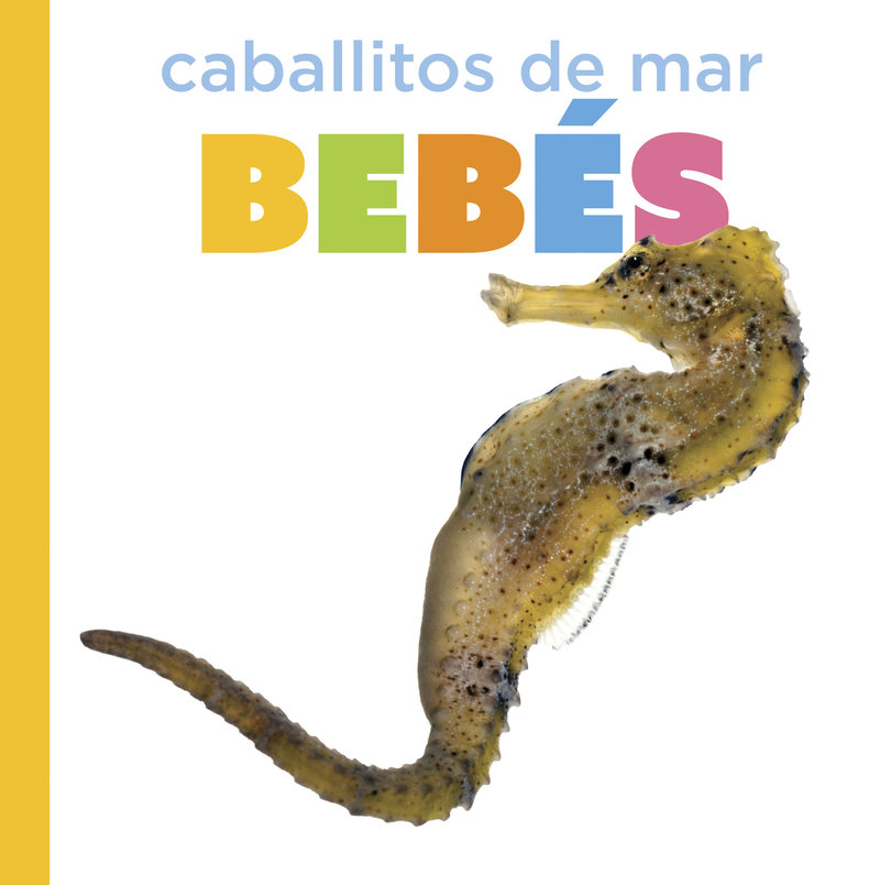 Caballitos de mar bebés