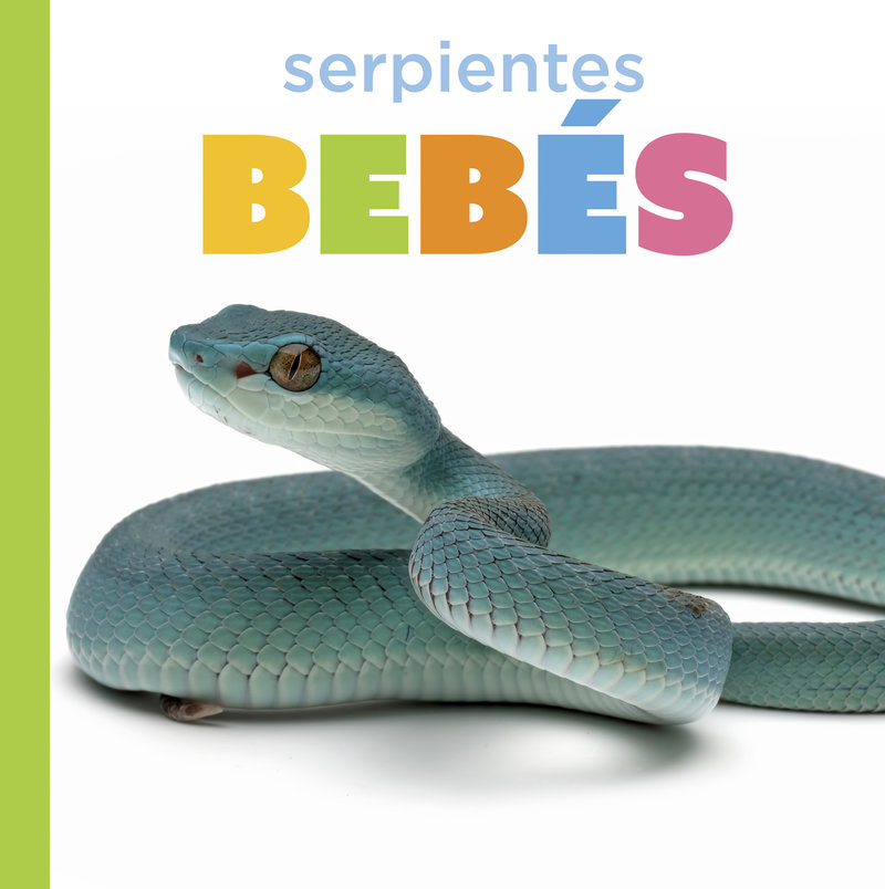 Serpientes bebés