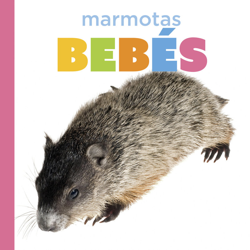 Marmotas bebés