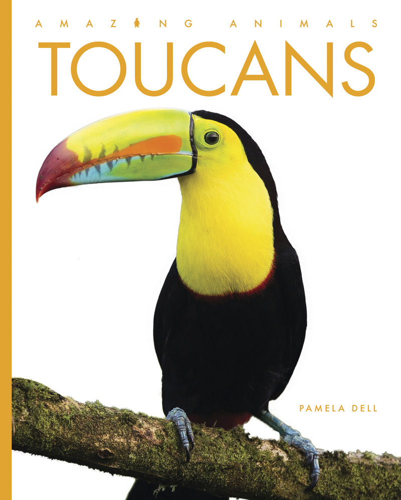Toucans
