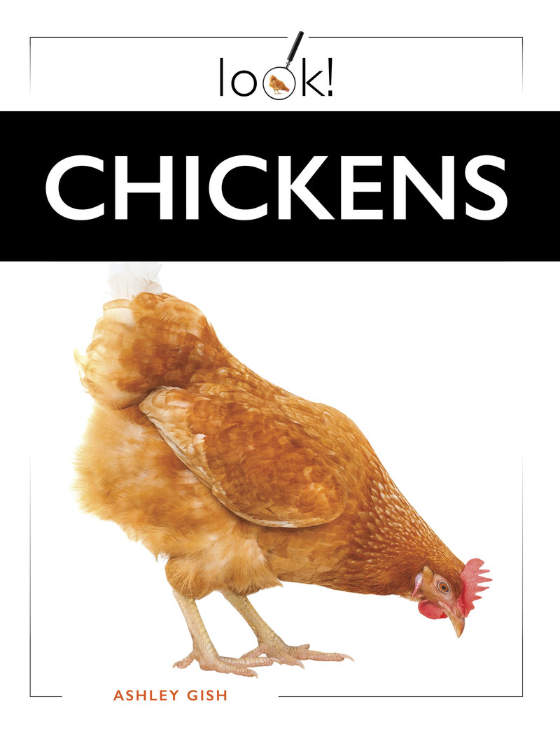 Chickens