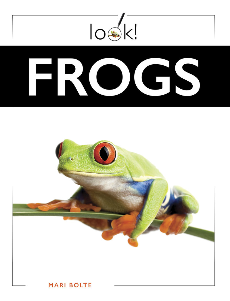 Frogs