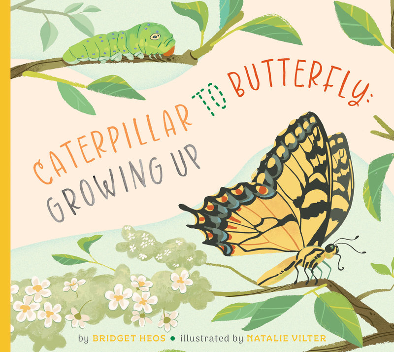 Caterpillar to Butterfly: Growing Up