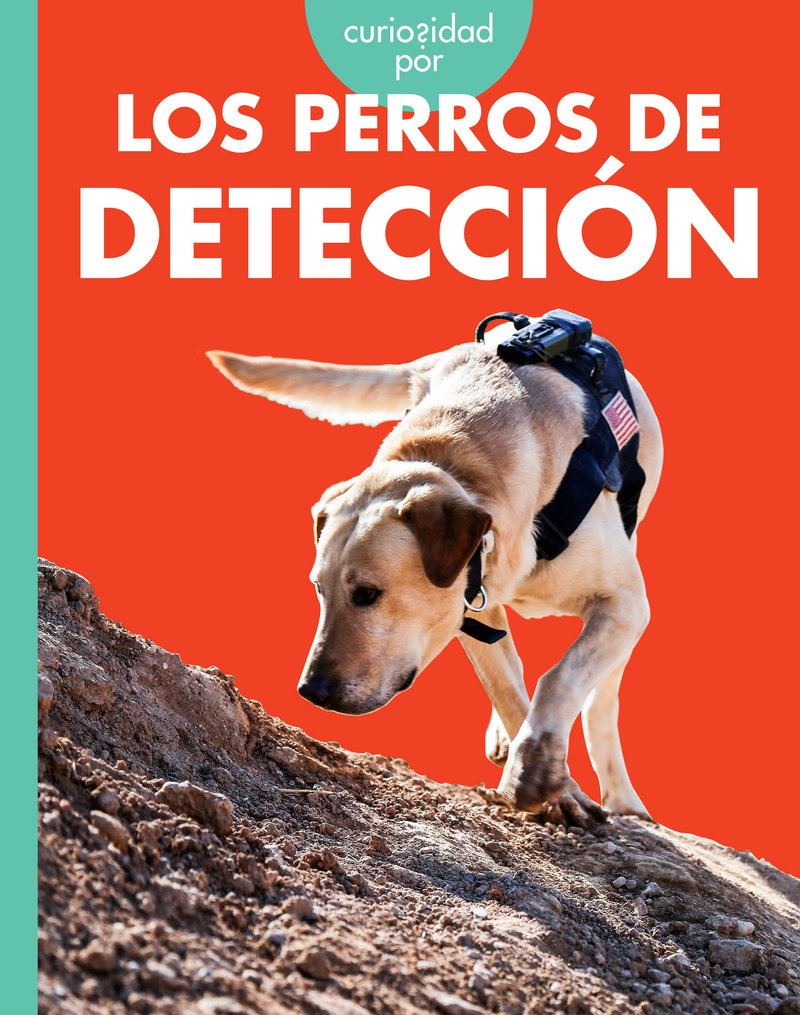Curiosidad por los perros de detección