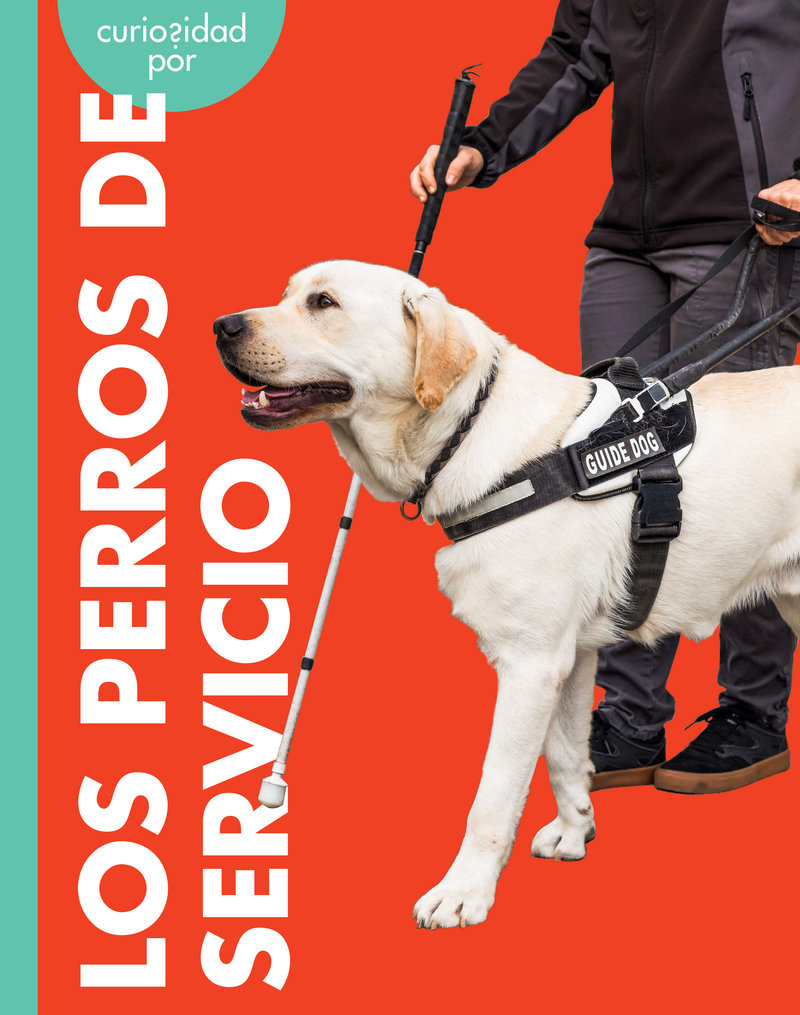 Curiosidad por los perros de servicio