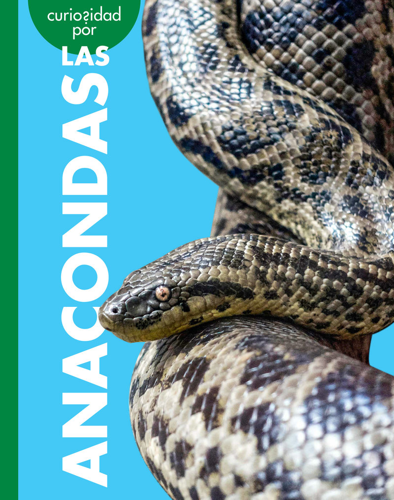 Curiosidad por las anacondas
