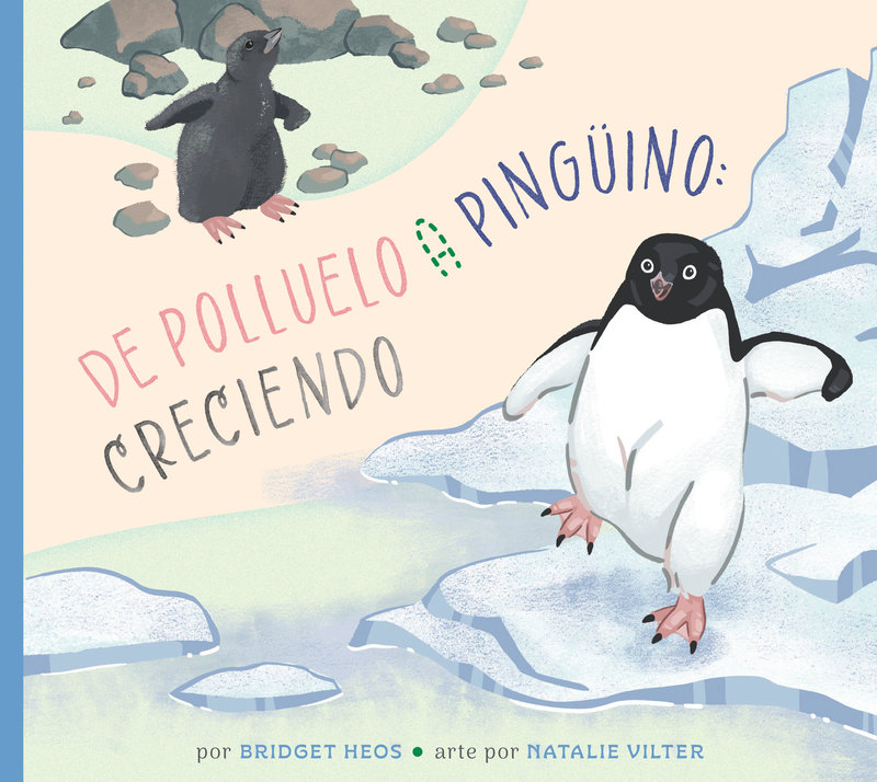 Del polluelo al pingüino: creciendo