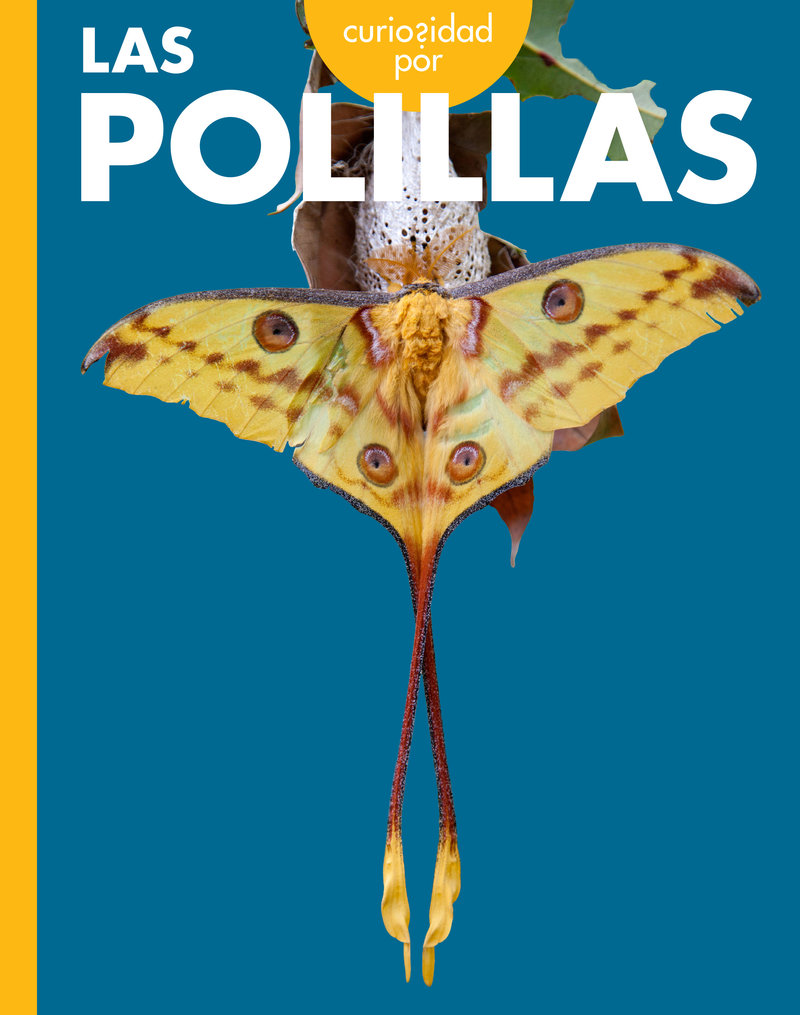 Curiosidad por las polillas