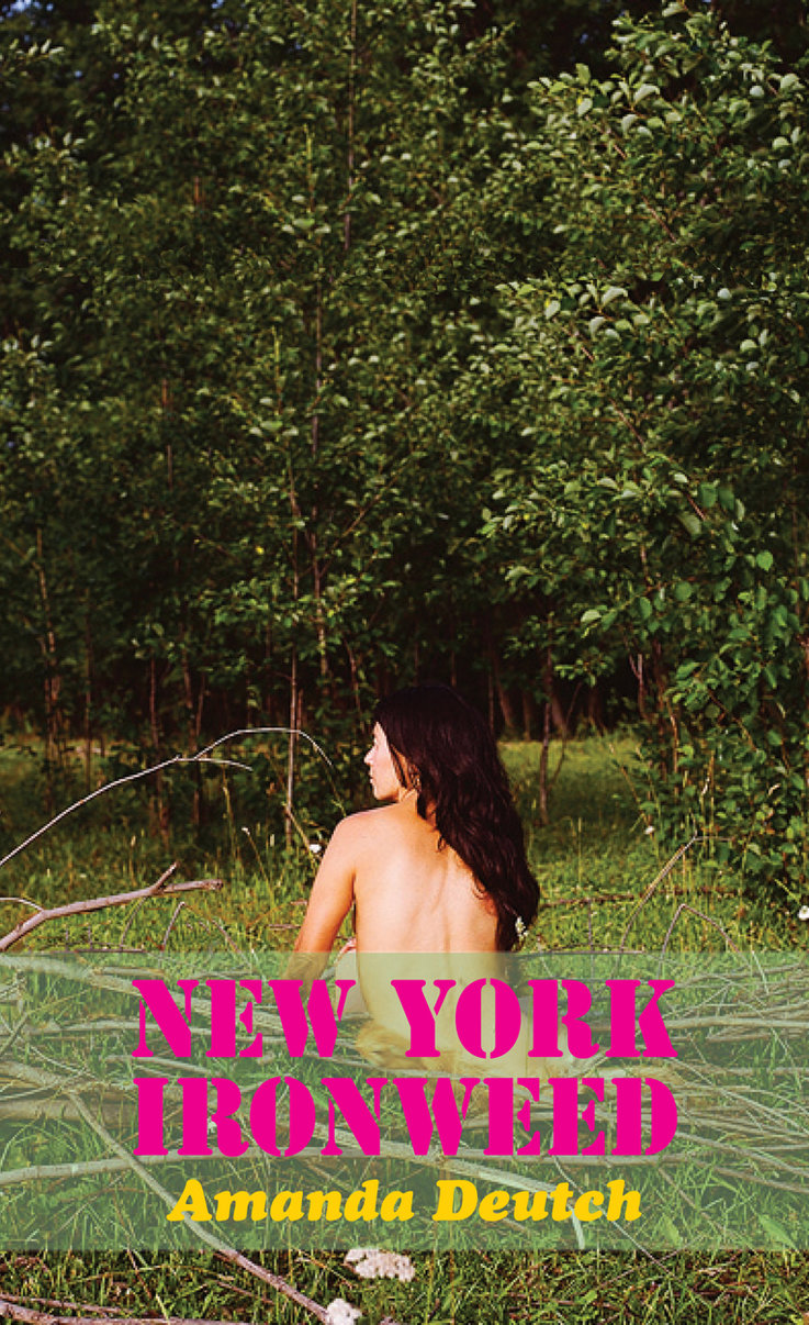 new york ironweed