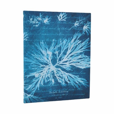 Sea Flowers Ultra Lined Softcover Journal, 176pg, 100GSM, Treasures of The New York Public Library by Paperblanks (Anna Atkins' Cyanotypes)