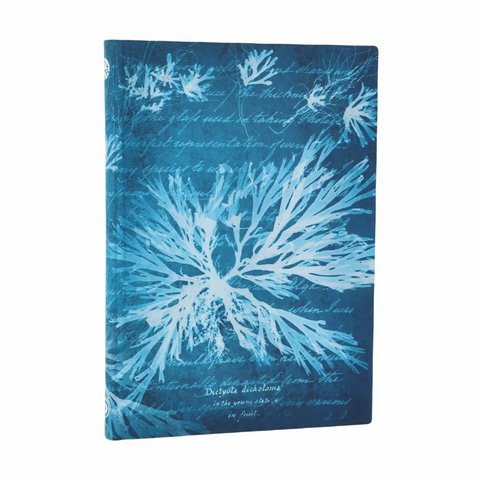 Sea Flowers Midi Lined Softcover Journal, 176pg, 100GSM, Treasures of The New York Public Library by Paperblanks (Anna Atkins' Cyanotypes)