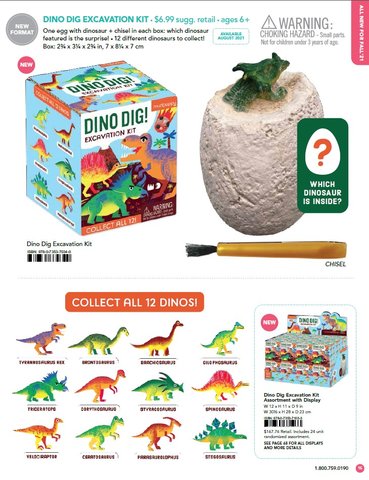 Dino Dig Excavation Kit Assortment with Display