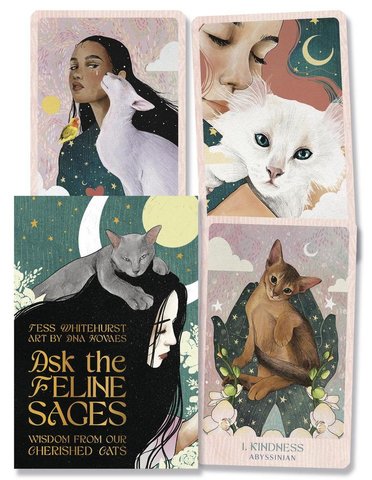 Ask the Feline Sages